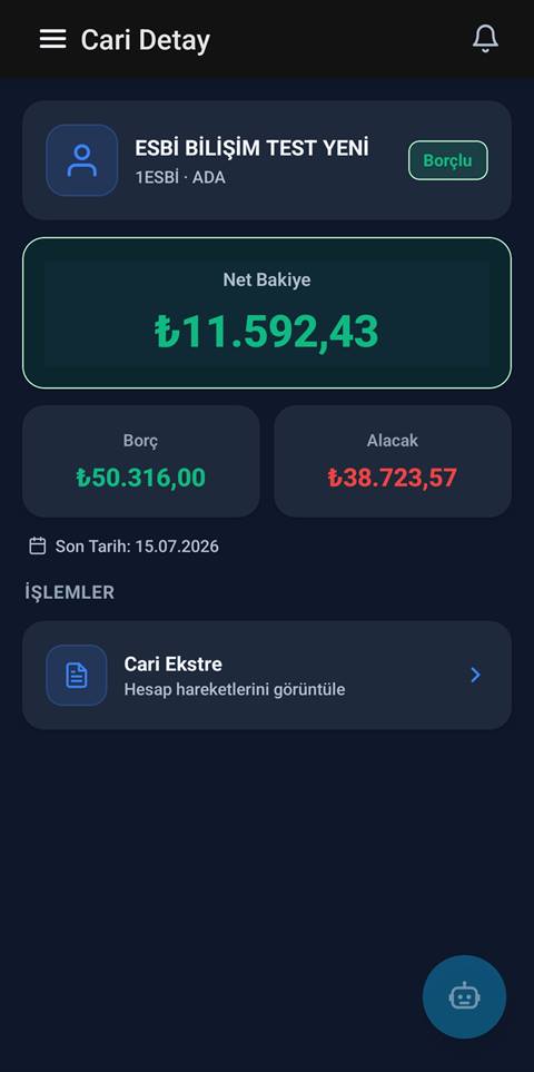 Raporist cari detay ekranı — bakiye ve hesap bilgileri