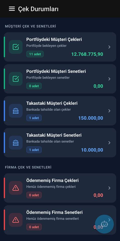 Raporist çek ve senet durumları — portföy, takas ve firma çekleri