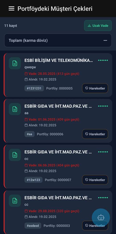 Raporist portföydeki müşteri çekleri listesi