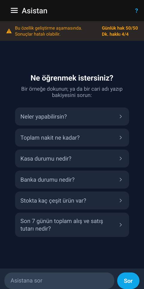 Raporist Akıllı Asistan — hazır soru önerileri