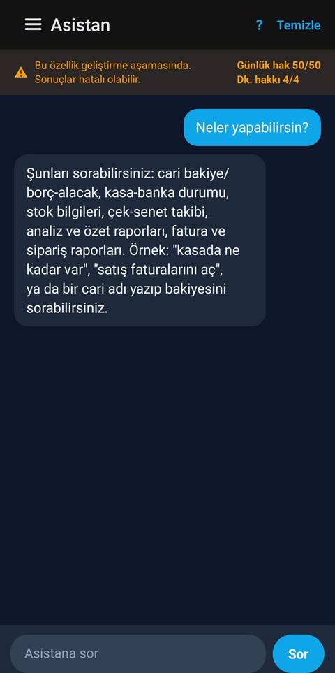 Raporist Akıllı Asistan sohbeti — yapabildikleri